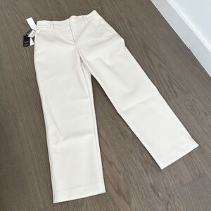 Aritzia Babaton Command Leather Pants